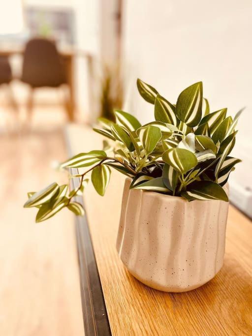 Apartament Mychoice Salmarina Rota Zewnętrze zdjęcie