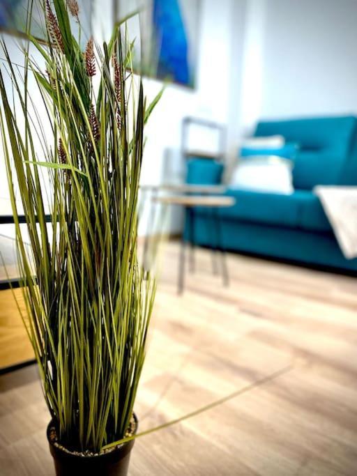 Apartament Mychoice Salmarina Rota Zewnętrze zdjęcie